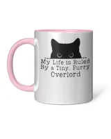 Accent Mug