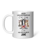 Accent Mug