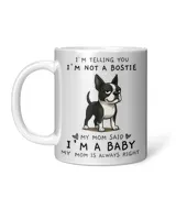 Accent Mug