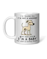Accent Mug