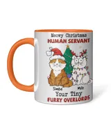 Accent Mug