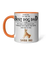 Accent Mug