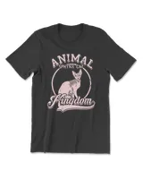 Cat Animal Kingdom Sphynx Cat 193 paws