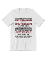 Men's Premium Tshirt