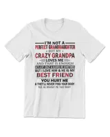 Men's Premium Tshirt