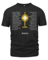 Men's Premium Tshirt