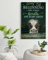 cow every day