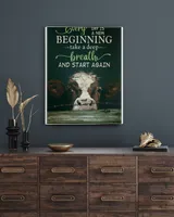 cow every day