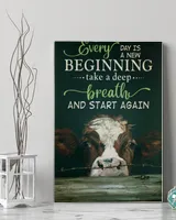 cow every day