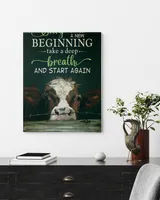 cow every day