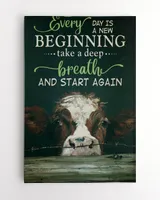 cow every day