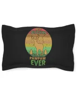 Pillow Sham