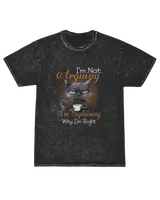 Mineral Wash T-shirt