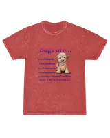 Mineral Wash T-shirt