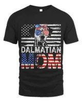 Unisex Standard T-Shirt - Oversized Print
