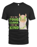 Unisex Standard T-Shirt - Oversized Print