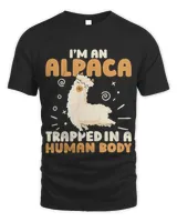 Unisex Standard T-Shirt - Oversized Print