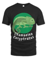 Unisex Standard T-Shirt - Oversized Print