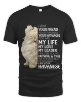 Unisex Standard T-Shirt - Oversized Print