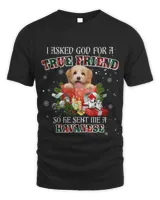 Unisex Standard T-Shirt - Oversized Print