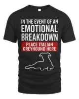 Unisex Standard T-Shirt - Oversized Print