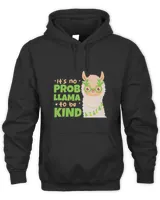Unisex Hoodie - Oversized Print