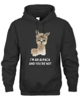 Unisex Hoodie - Oversized Print
