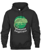 Unisex Hoodie - Oversized Print