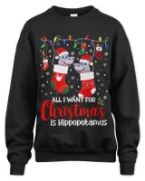 Unisex Sweatshirt - Oversized Print