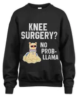 Unisex Sweatshirt - Oversized Print