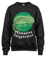 Unisex Sweatshirt - Oversized Print