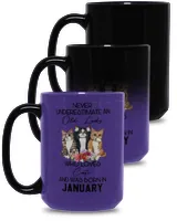 Magic Mug 15oz