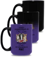 Magic Mug 15oz
