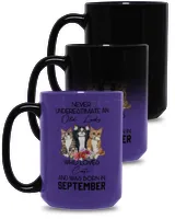 Magic Mug 15oz