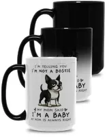 Magic Mug 15oz