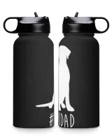 Premium Water Bottle