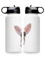 Premium Water Bottle