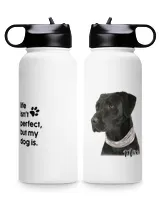 Premium Water Bottle