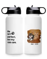 Premium Water Bottle