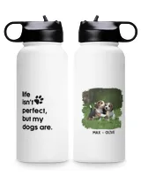 Premium Water Bottle
