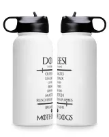 Premium Water Bottle