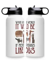 Premium Water Bottle