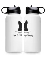 Premium Water Bottle