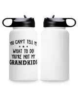 Premium Water Bottle