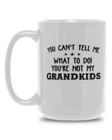 White Mug 15oz