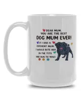 White Mug 15oz