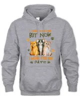 Unisex Premium Hoodie