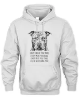 Unisex Premium Hoodie