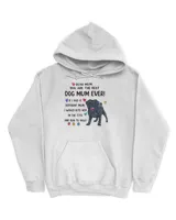Unisex Premium Hoodie
