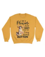 Unisex Premium Crewneck Sweatshirt